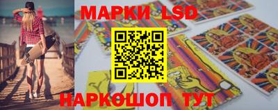 a pvp Новозыбков