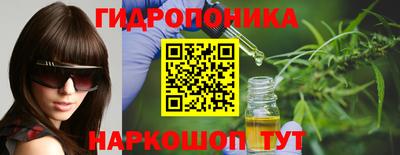a pvp Новозыбков