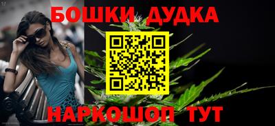 крисы Новодвинск