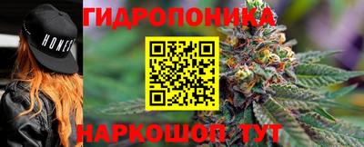 крисы Новодвинск