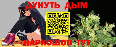 крисы Новодвинск