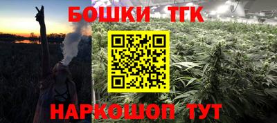крисы Новодвинск