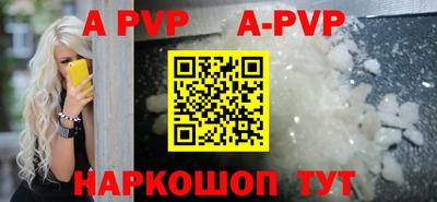 a pvp Новозыбков