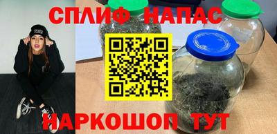 a pvp Новозыбков