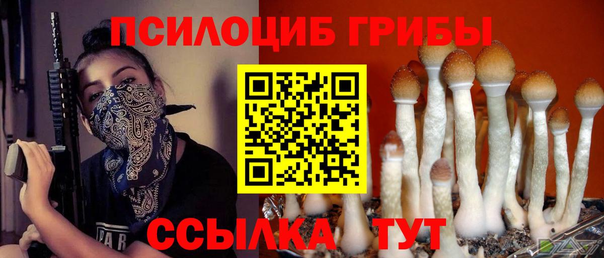 Псилоцибиновые грибы Psilocybine cubensis Ковров