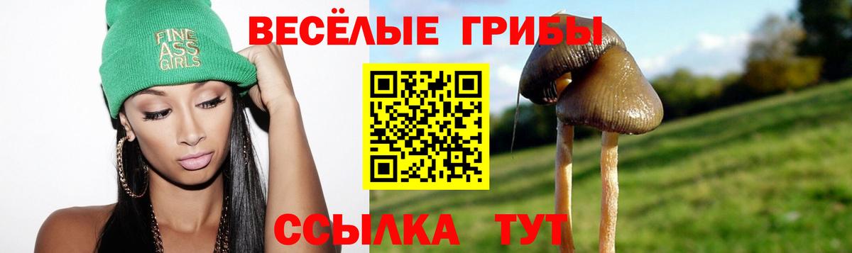 Ковров  Галлюциногенные грибы Cubensis  наркошоп  Галлюциногенные грибы мицелий  Вход с VPN 